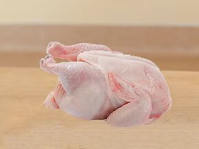 Halal Frozen Whole Chicken Exporter Brazil