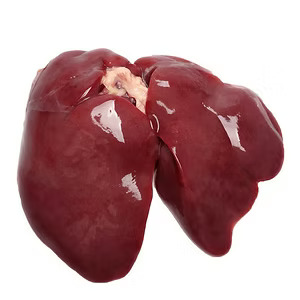 Halal Frozen Chicken Liver Exporter Brazil