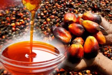 Red Palm Oil Exporter Brazil Red Palm Oil Supplier Brazil