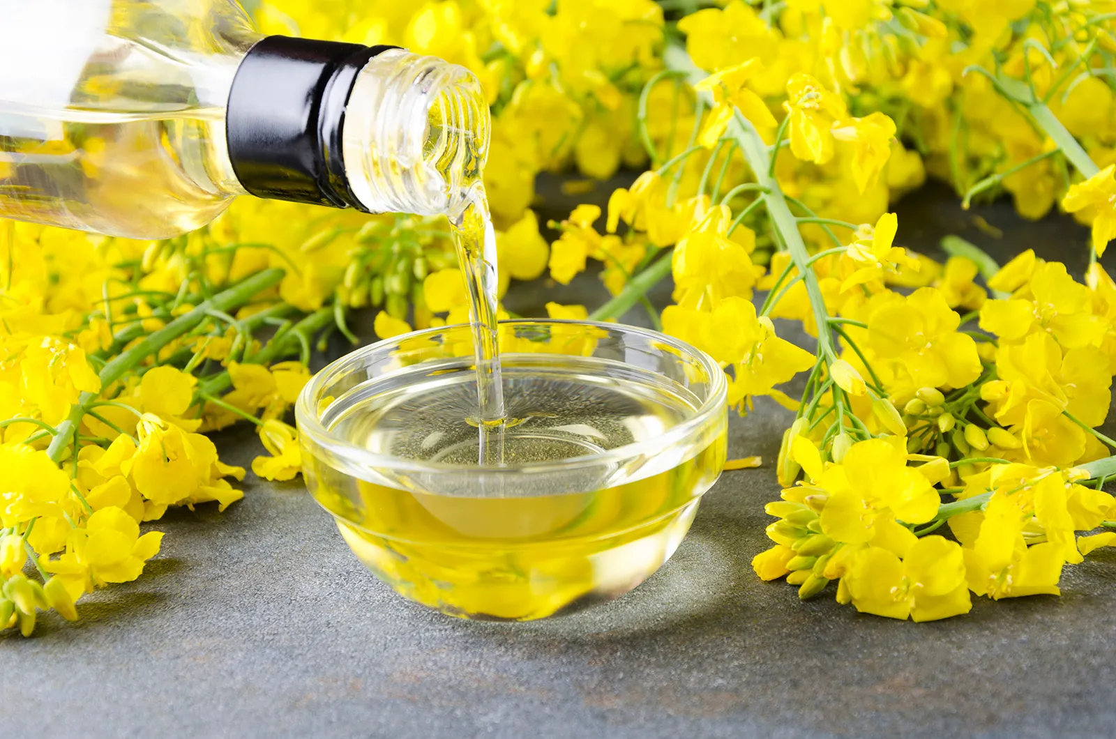 Rapeseed Oil Exporter Brazil Rapeseed Oil Supplier Brazil