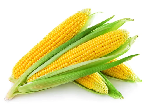 Commodities Exporter Brazil Commodities Supplier Brazil