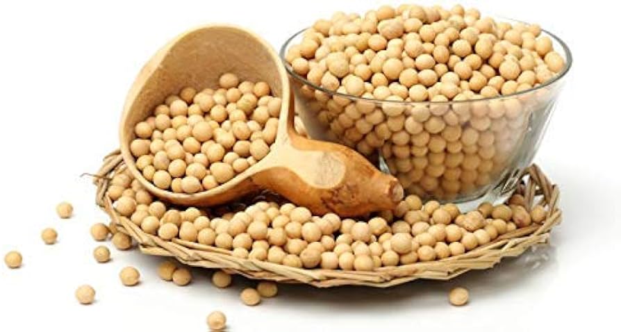 Organic Soybeans Exporter Brazil Organic Soybeans Supplier Brazil